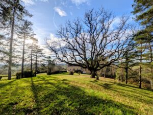 Maison de caractère, cadre paisible et vue Pyrénées